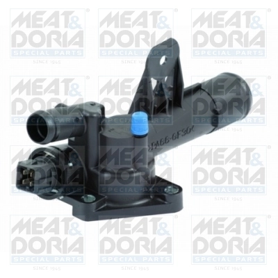 Thermostat, coolant